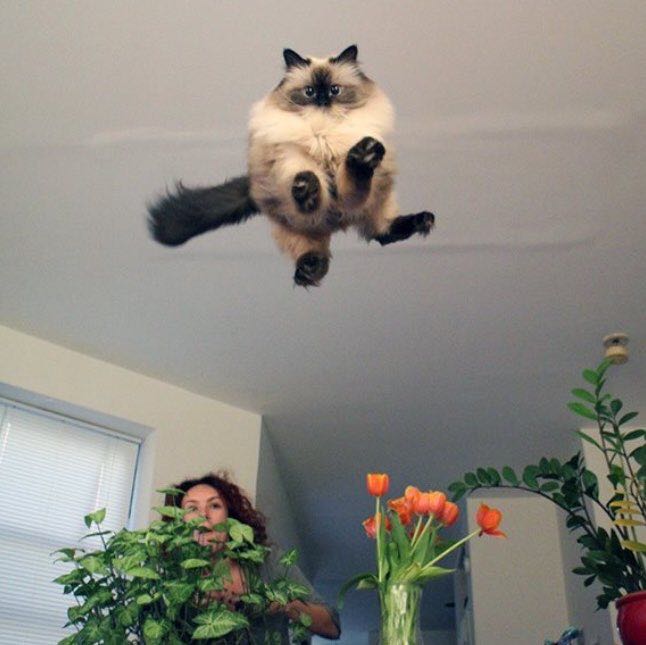 Track 8, Kuala Belait