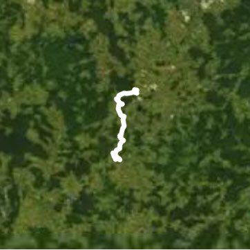 Von Borken Klein Ingles nach Schwalmstadt Treysa