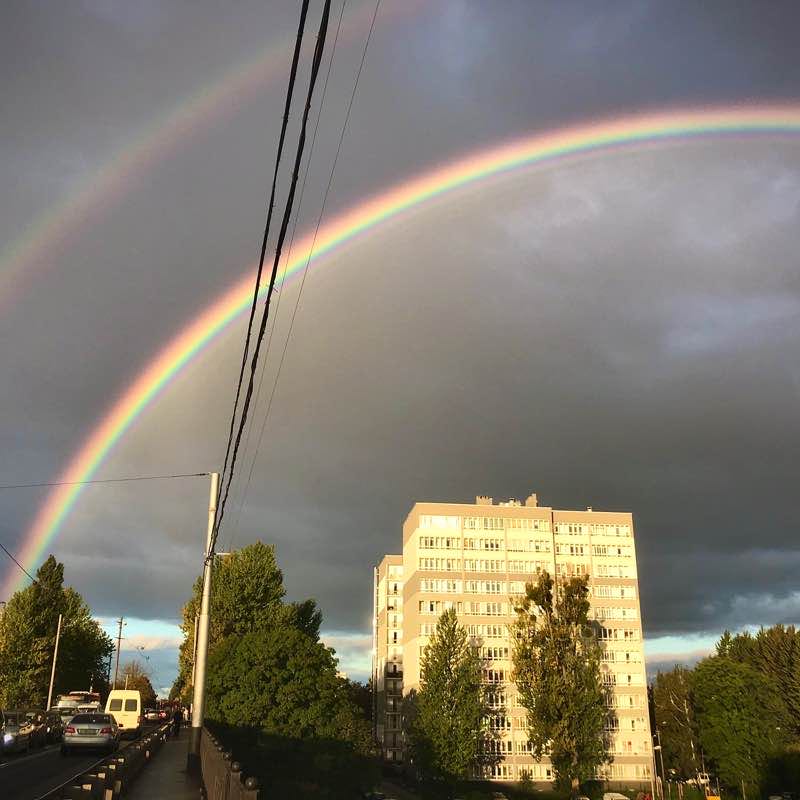 Пятничная радуга 🌈 