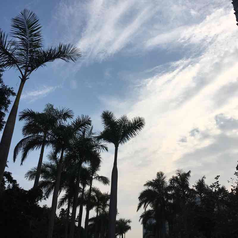 Caribbean Coast Semi Circle