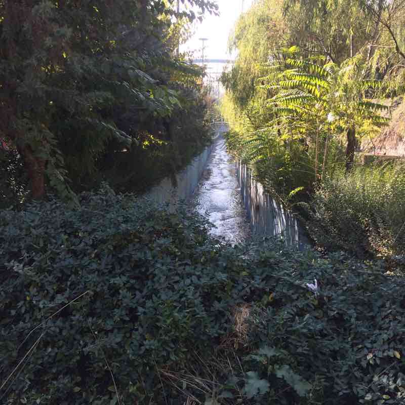 نهج البلاغه