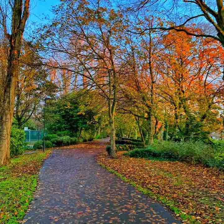 Leazes Park, Newcastle 🍀🌴🎋🌾🍂