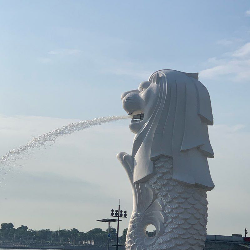💦The Merlion Park / Esplanade Route. 💦 Walk Singapore, Central Region