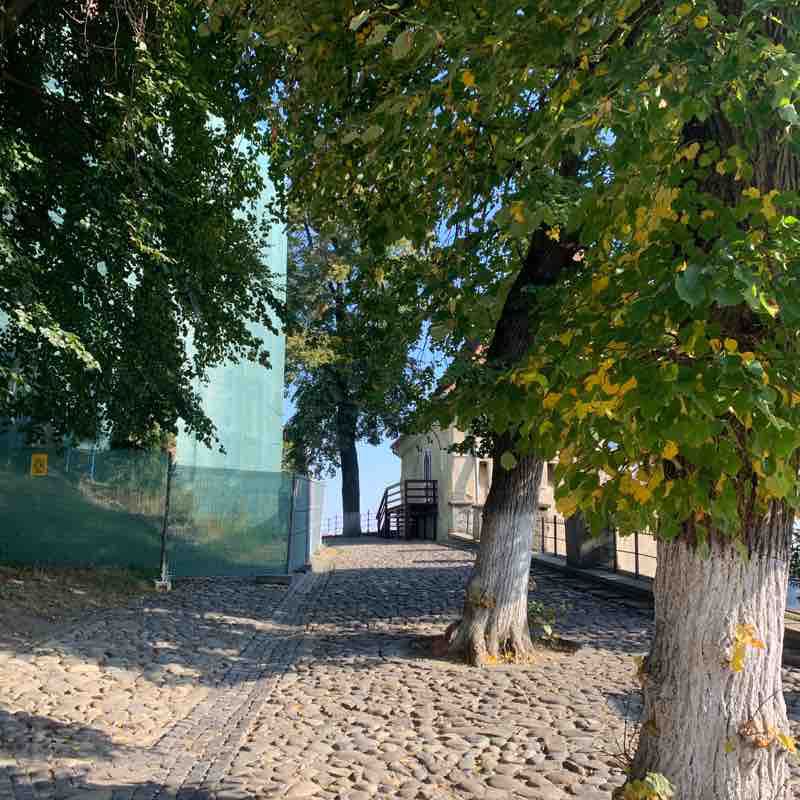 Sighişoara / ‘Dracula ‘ Village Route 🧛‍♂️