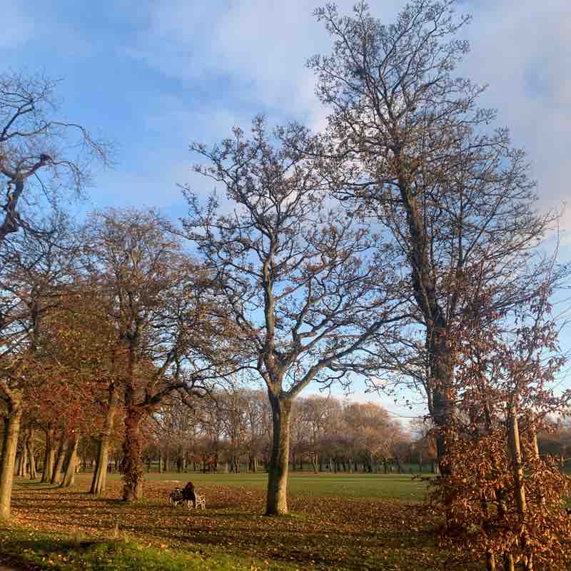 The Meadows @ Edinburgh 🌳🌾🍂🌱🌲