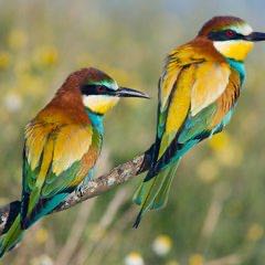 Sonntags Spaziergang