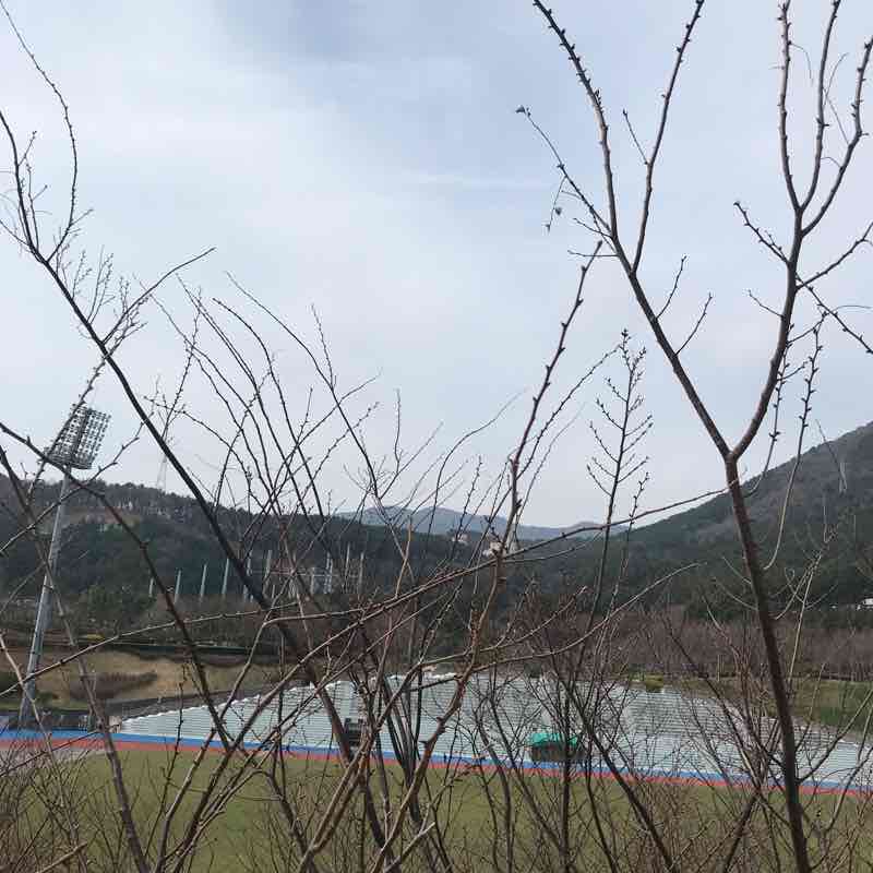 Busan Sports Complex, Stadium