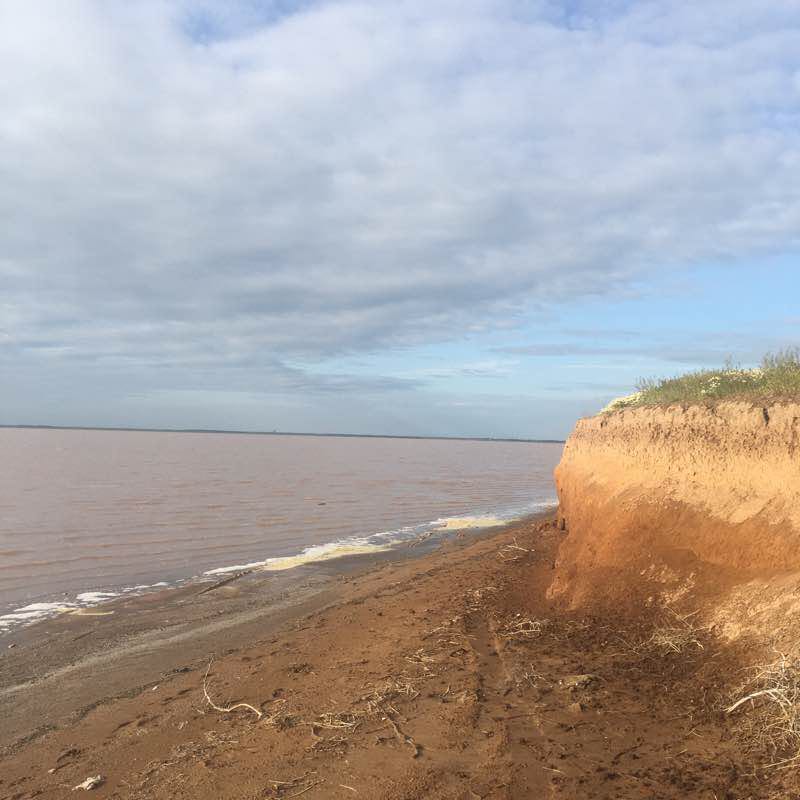 Sasyk-Sivash (Pink Lake) walking route map in Saky