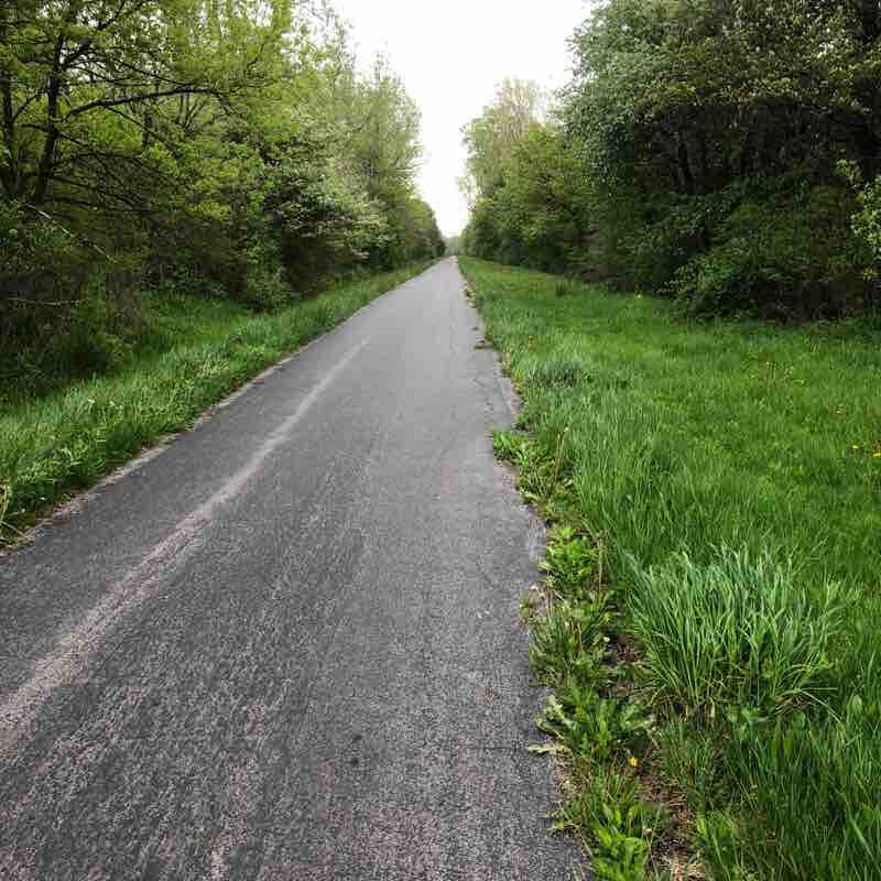 Bike trail to Newstead