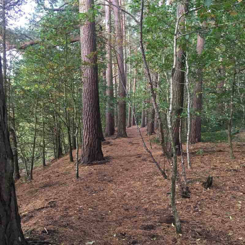 Agden reservoir  walking route map in High Bradfield