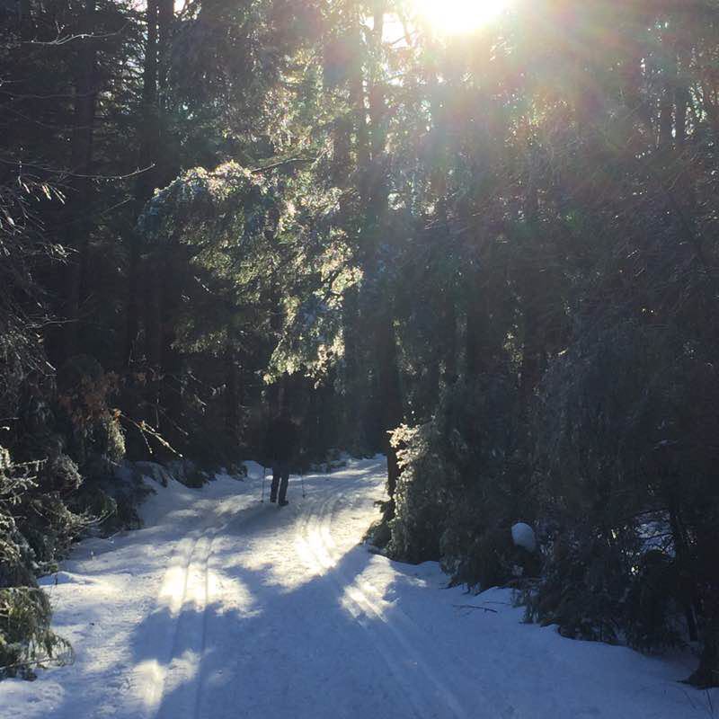 Park of Green Domain Walk Mirabel, Quebec, Canada Pacer