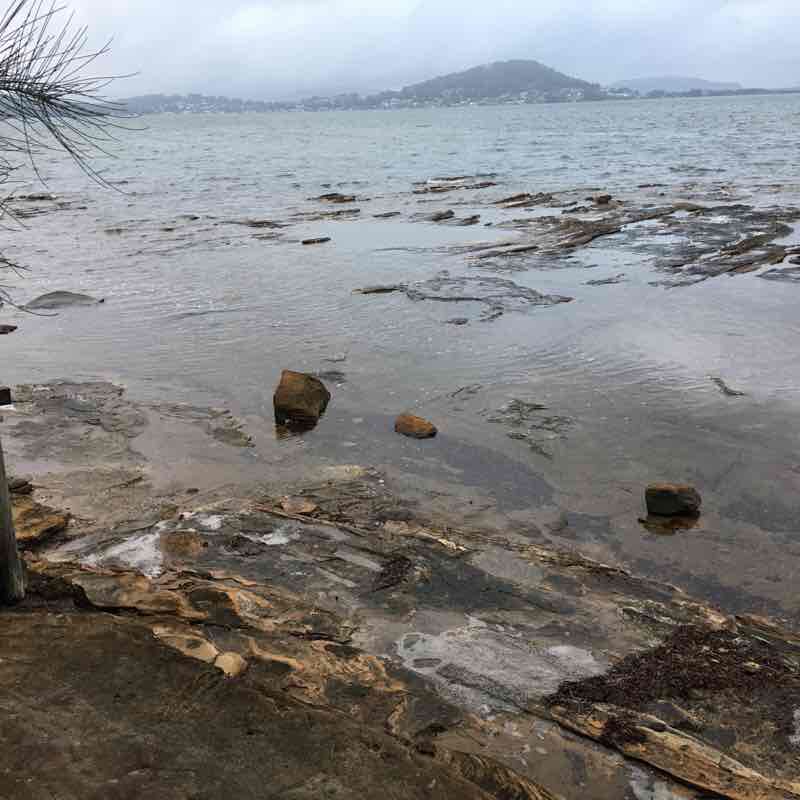 Point Frederick walking route map in Gosford