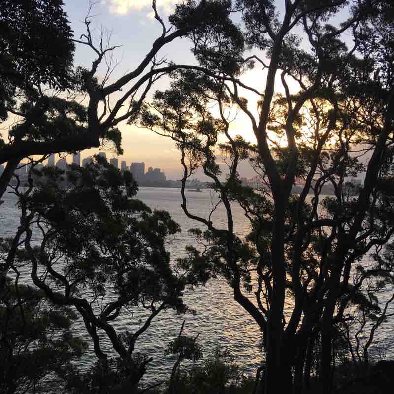 Sydney Coast Trek  walking route map in Mosman