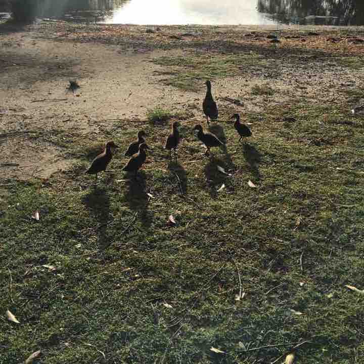 West Gosford cycle way walking route map in West Gosford
