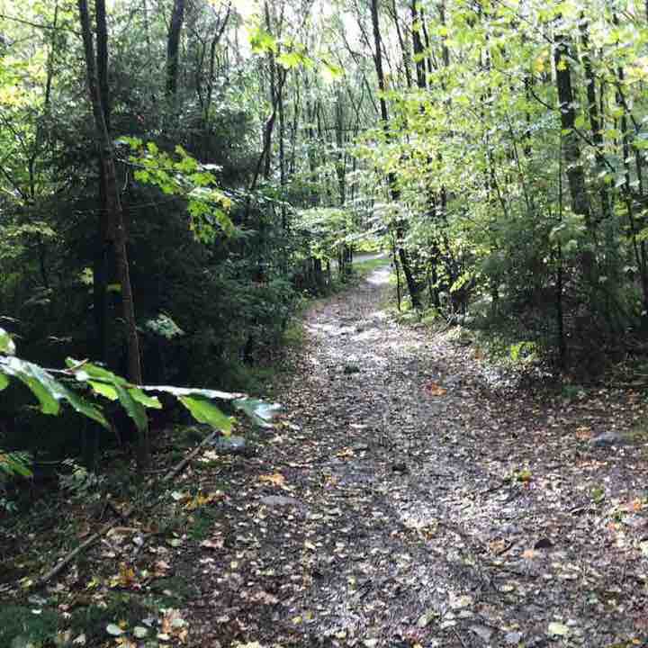 Along part of Säveån walking route map in Floda
