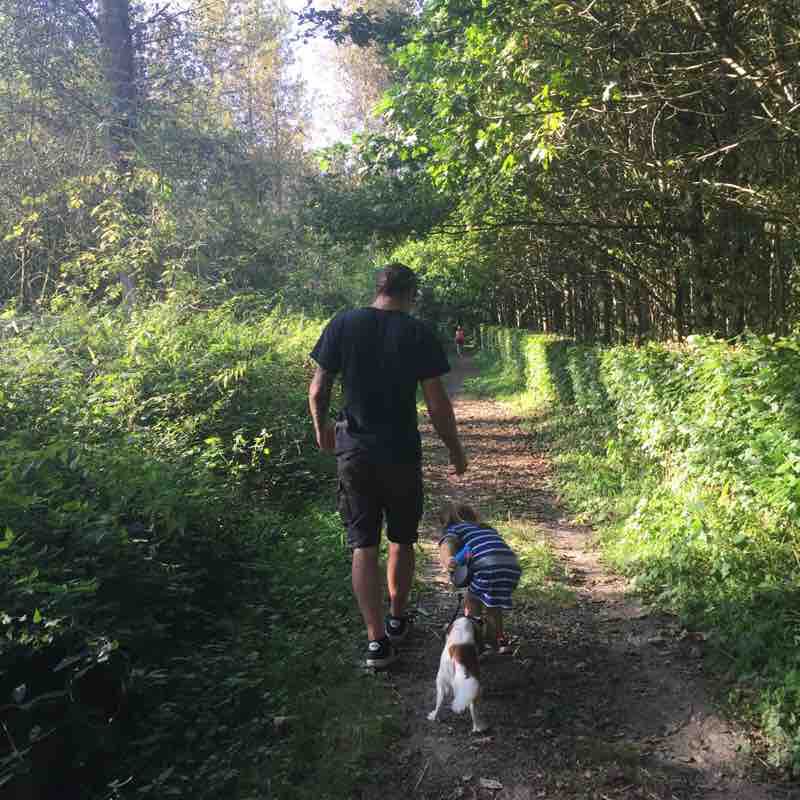 Around paulatem castle walking route map in Zwalm