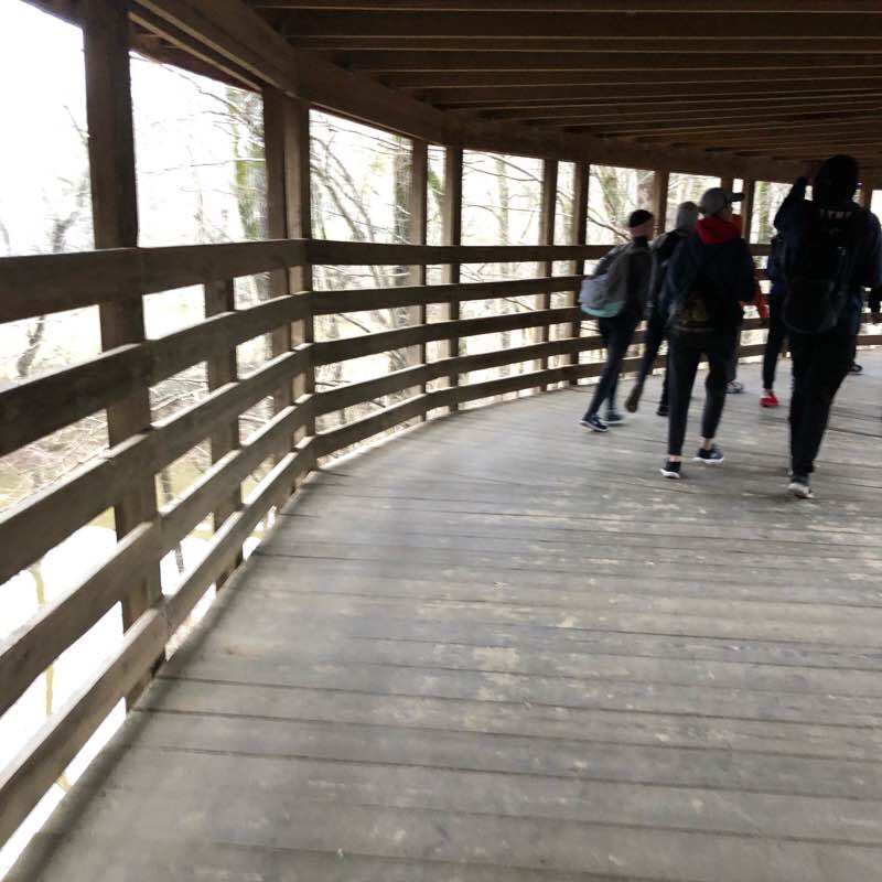 Cape Fear River Trail  walking route map in Wade