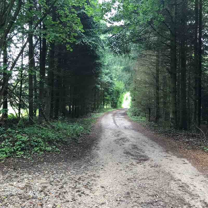 Middelfart Path 