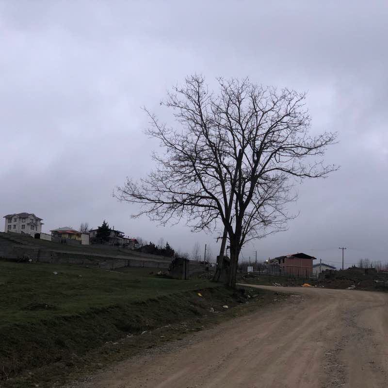 Kordichal walking route map in Kordichal