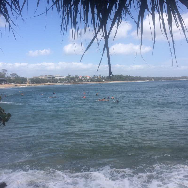 Noosa walking route map in Noosa Heads