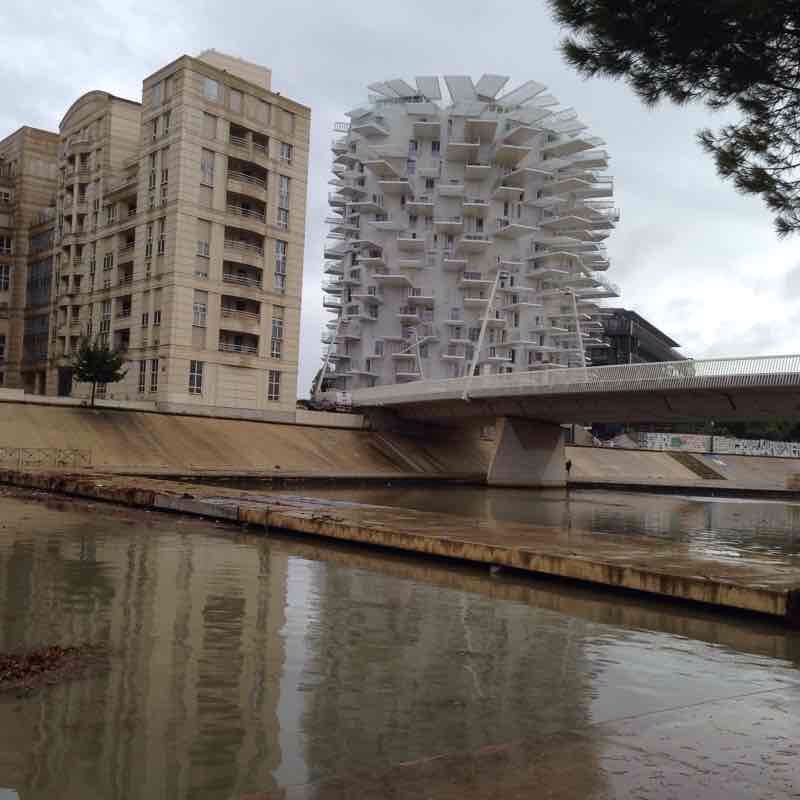 Montpellier 