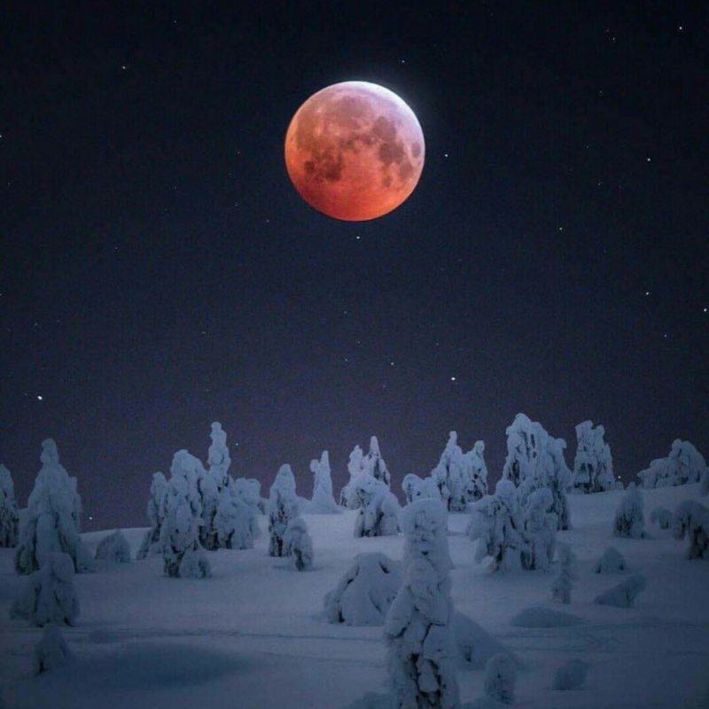 Вечерняя прогулка☺️