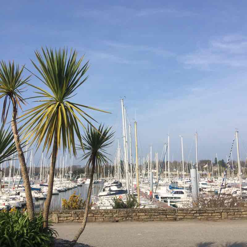 The port of Forêt Fouesnant walking route map in La Forêt-Fouesnant
