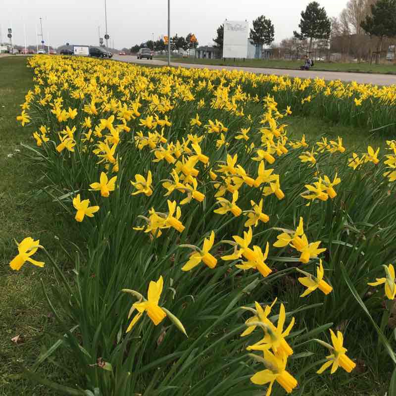 The clay harbor walking route map in Höganäs