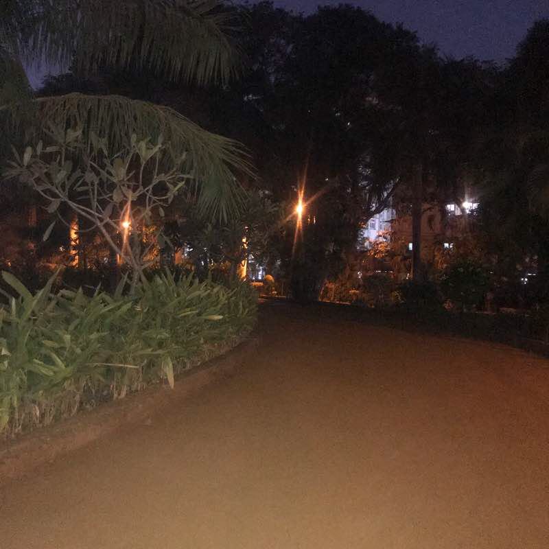 Aurobindo park