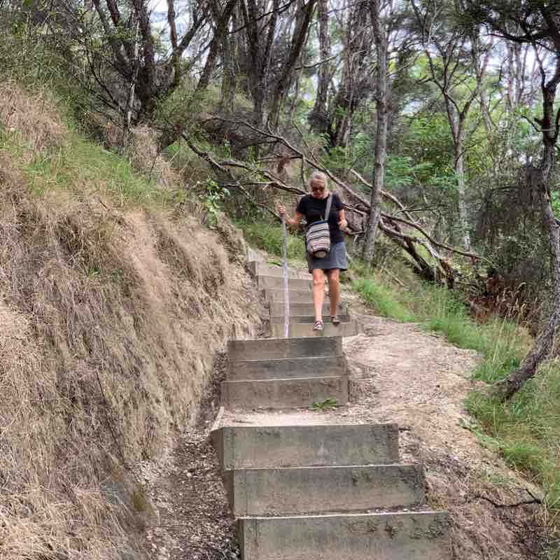 Cooks Cove walking route map in Tolaga Bay
