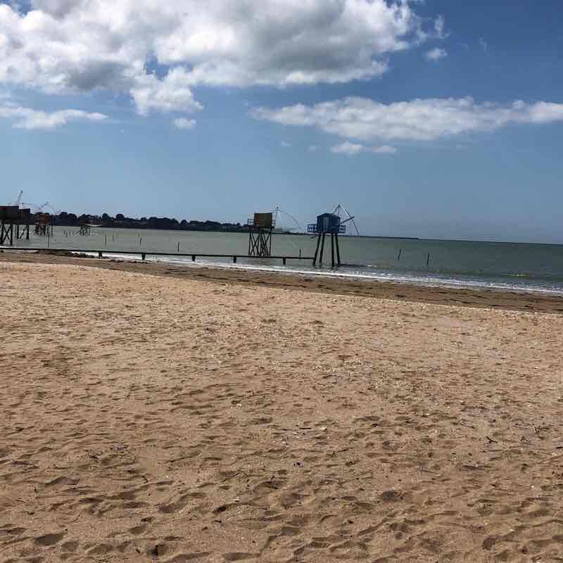 Nice ride starting from Tharon walking route map in Saint-Michel-Chef-Chef