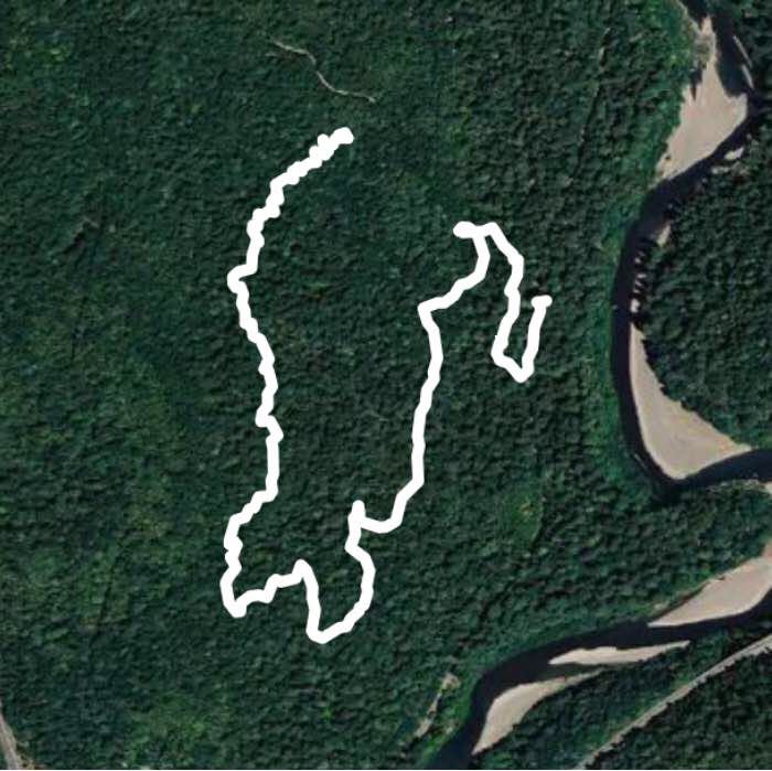 Hidden Springs Trail walking route map in Myers Flat