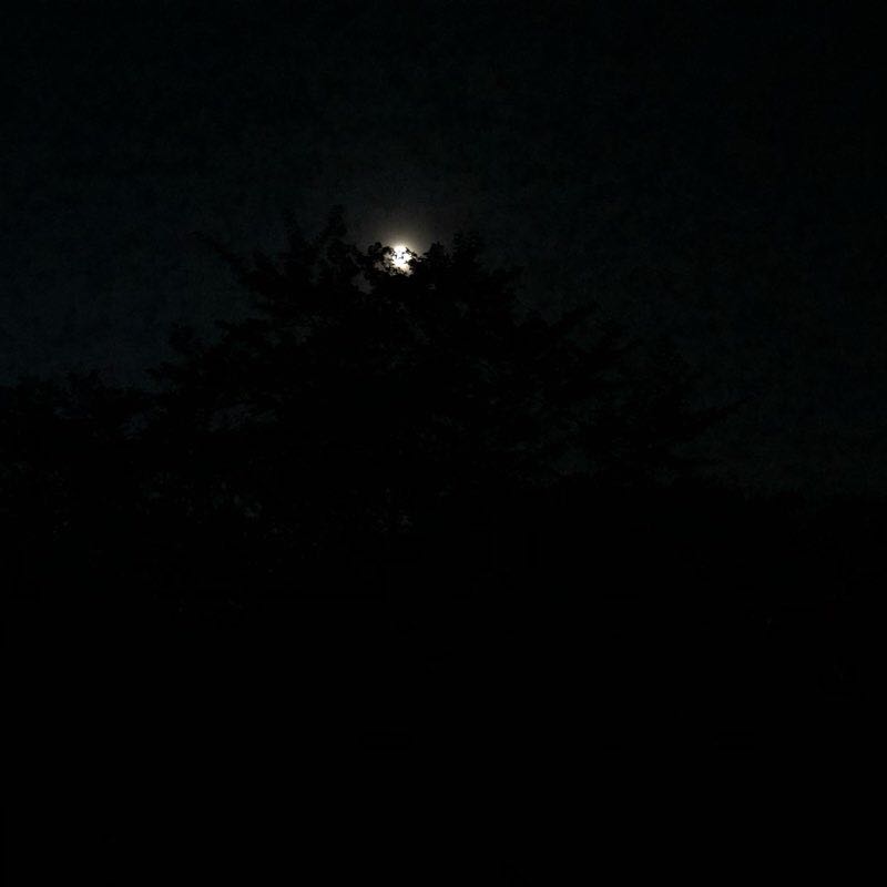 20190422 Monday Run🏃🏻‍♀️