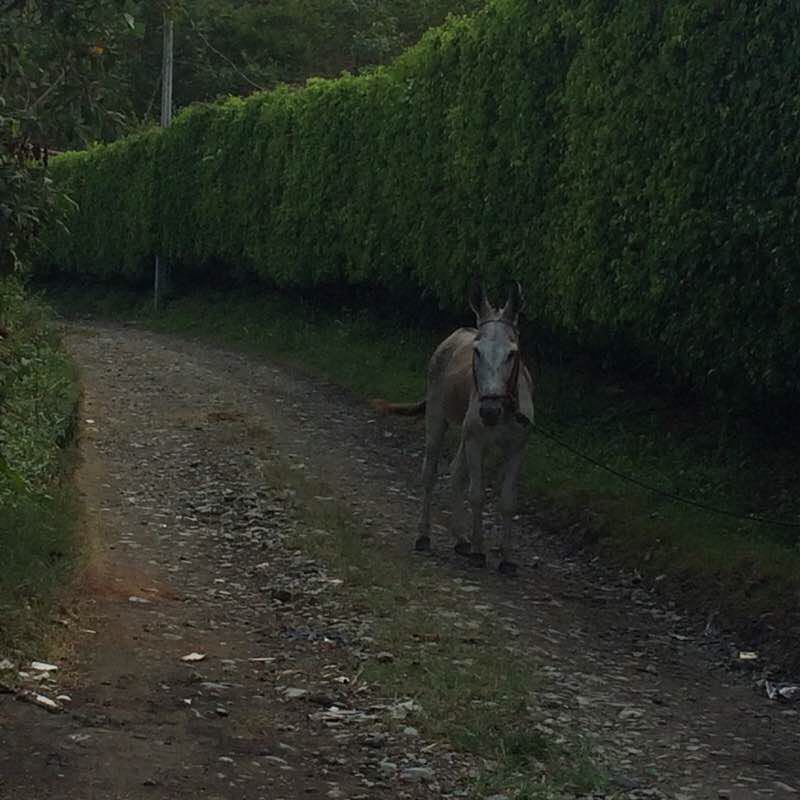 Path to the Malacatos Stadium walking route map in Landangui