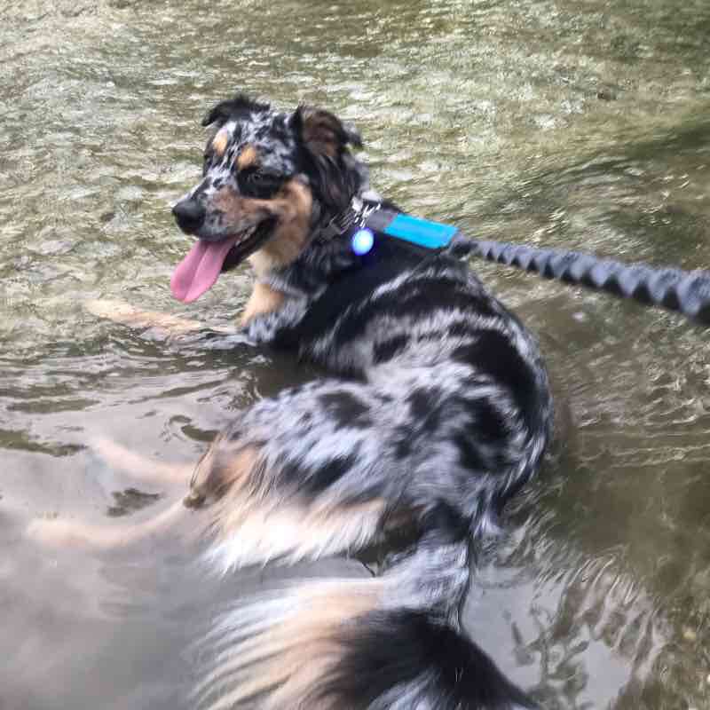 Windermere to Gilleland Jens Run! walking route map in Pflugerville