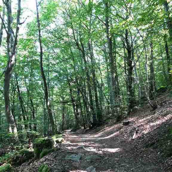 The Py-Cold walking route map in Yzeron