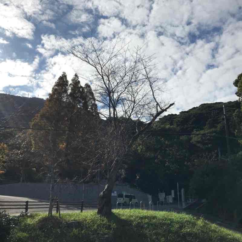 小倉コース45(皿倉山)