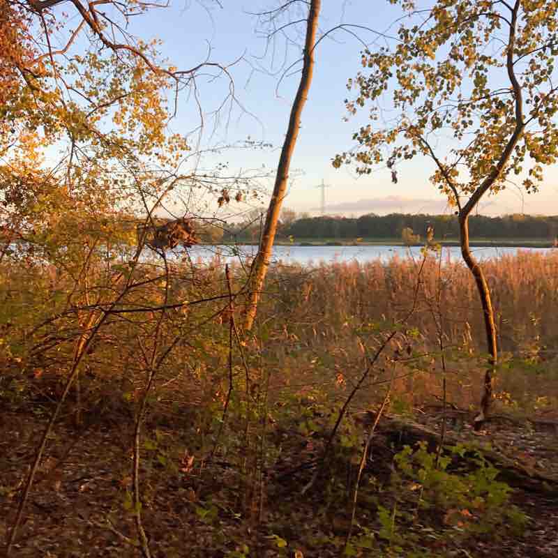 Lauenburg / Elbe walking route map in Lauenburg/Elbe