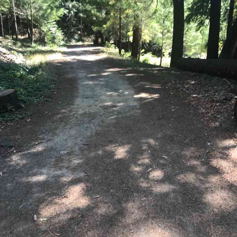 Brooktrails Park walking route map in Willits