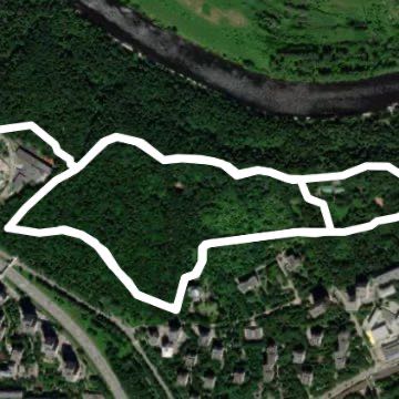 На каждое утро