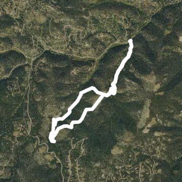 maxwell lower falls trail