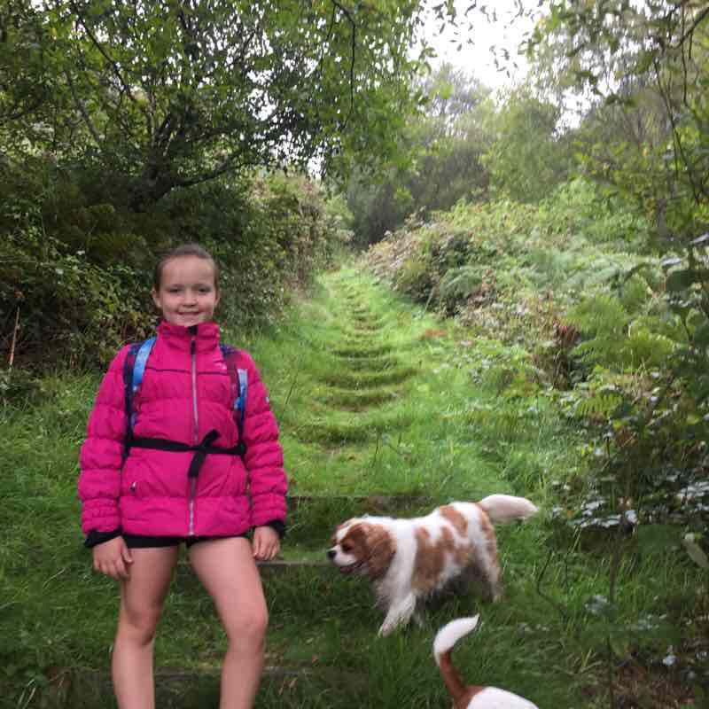 Lovely mountain walk walking route map in Port Talbot