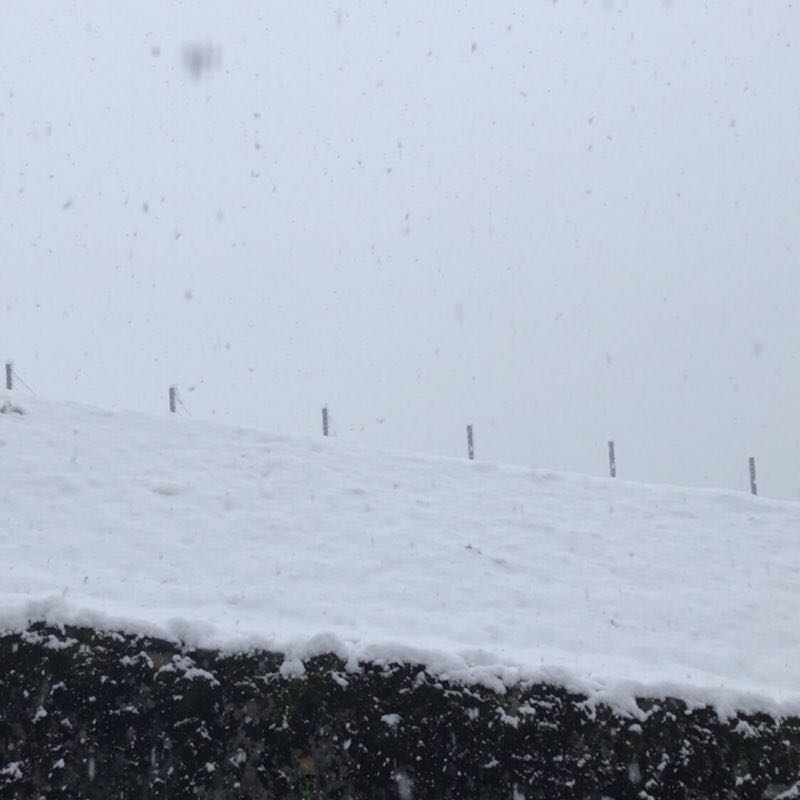 Duillier Training Trail walking route map in Prangins