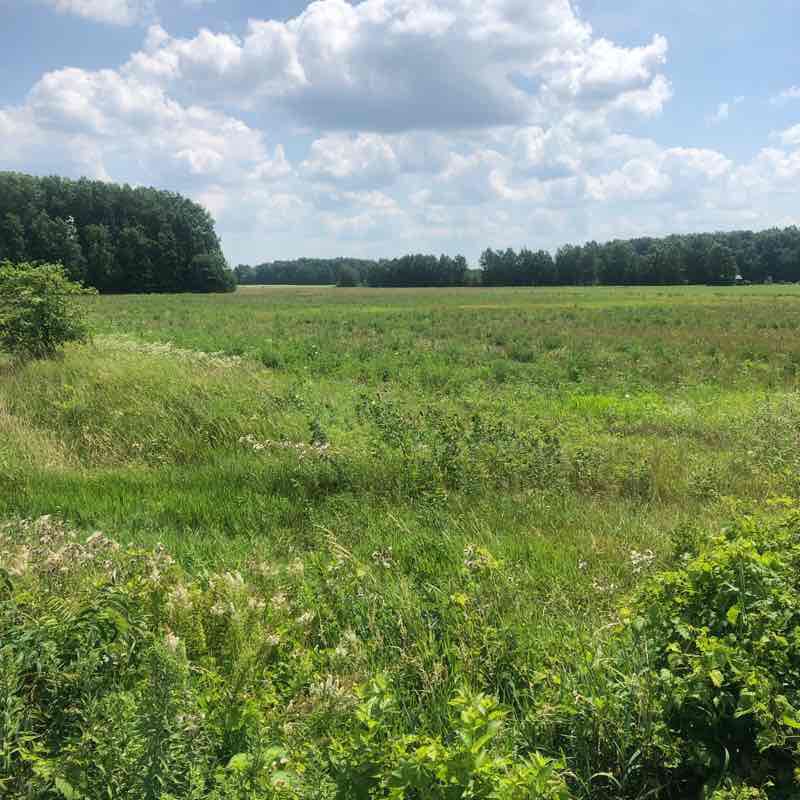 Ohio countryside  walking route map in Elyria