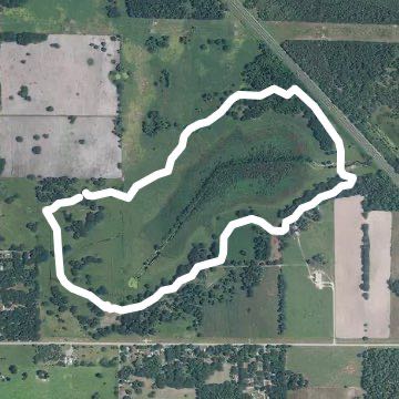 Hogeye in The Villages