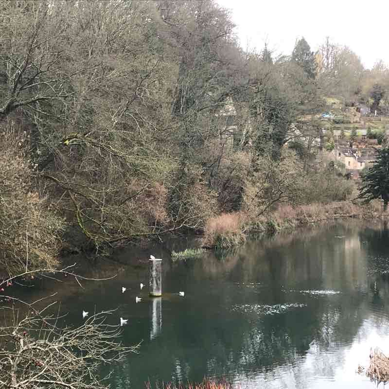 Nailsworth Walk Trail Stroud, England Pacer