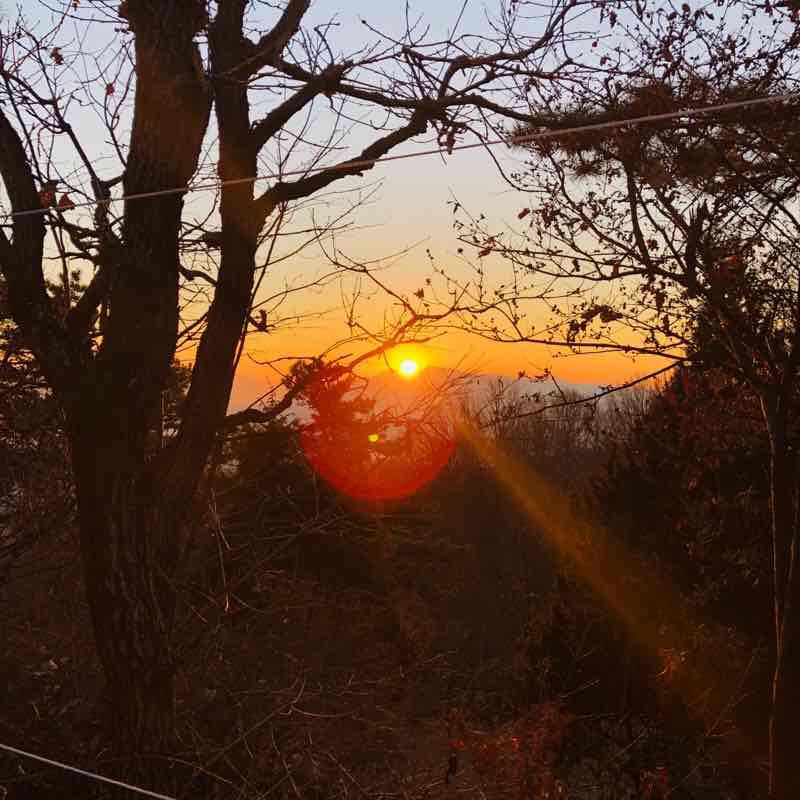 마우산둘레기ㄹ