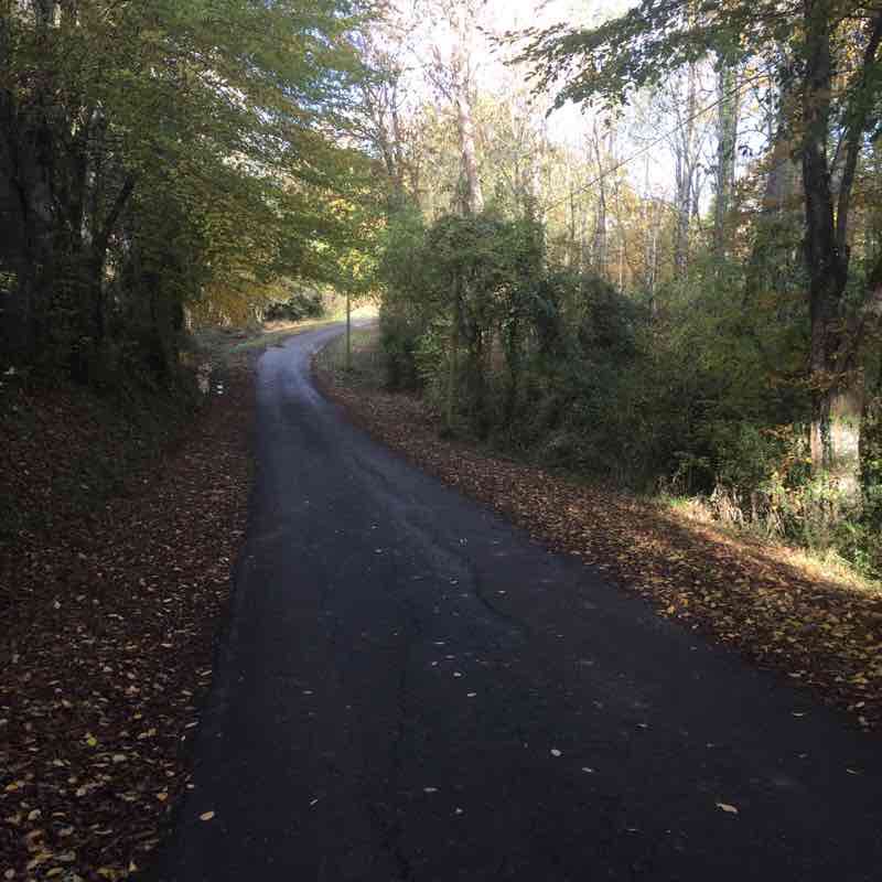 The rose st Martin d'auxigny walking route map in Saint-Martin-d'Auxigny