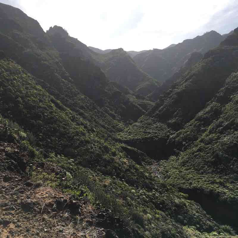 Punta Hidalgo Chinamada