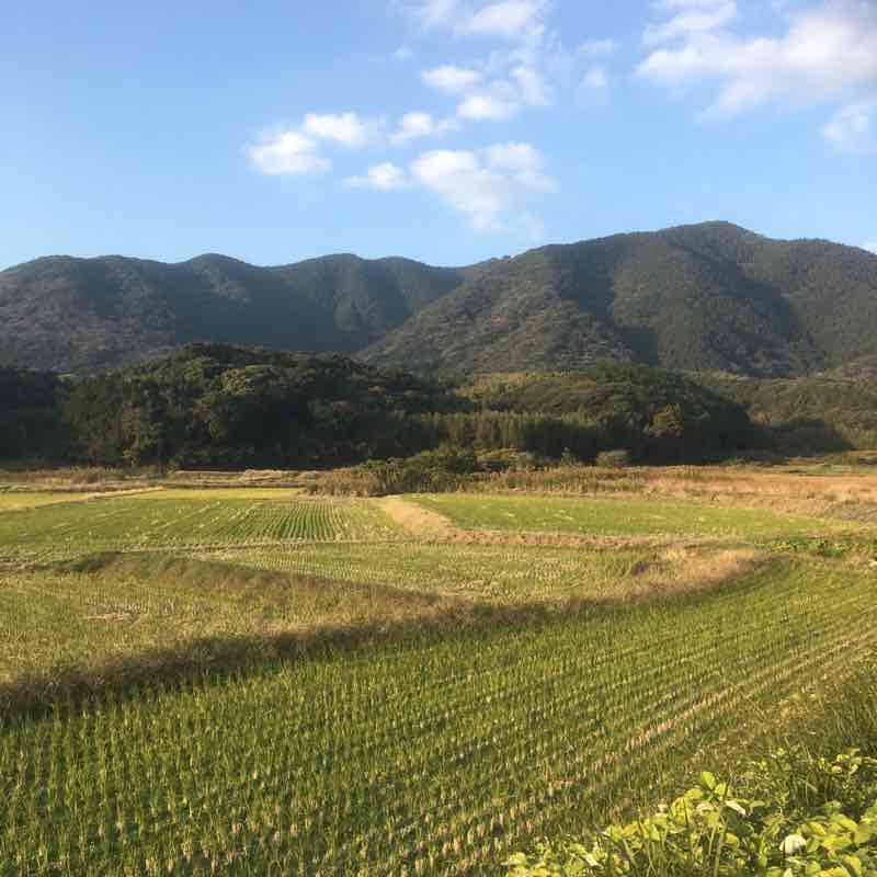 6.5km course via Ikeda Representative Office walking route map in Munakata